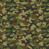 Camouflage