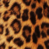 Leopard print