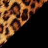 Leopardato,Nero