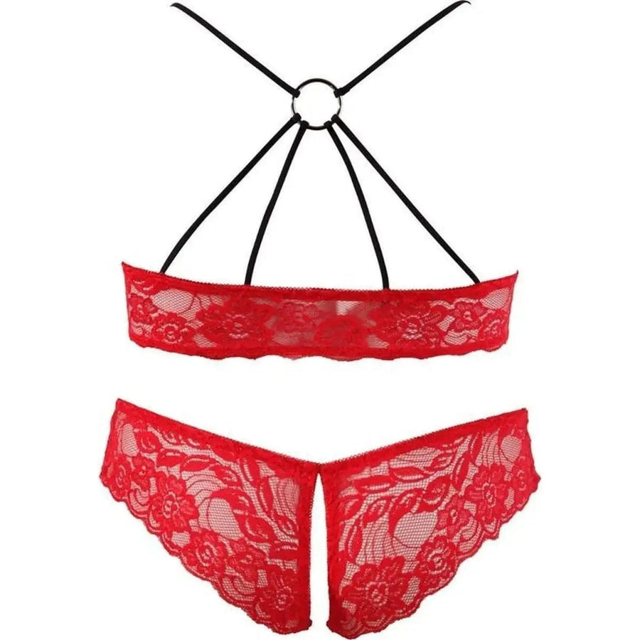 Lingerie Sexy Set Color Vinaccia