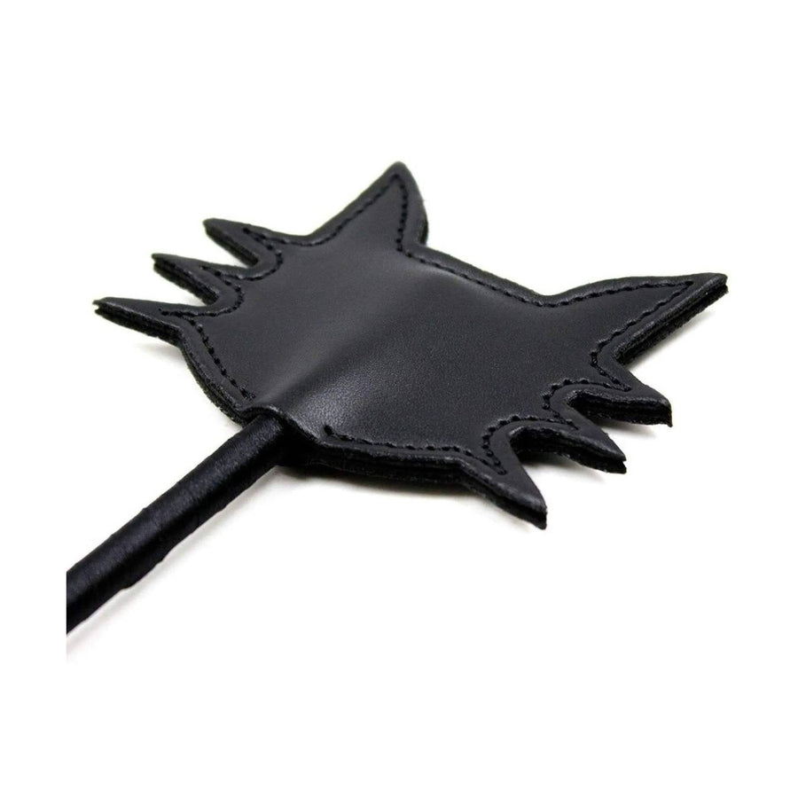 Gato negro de paleta