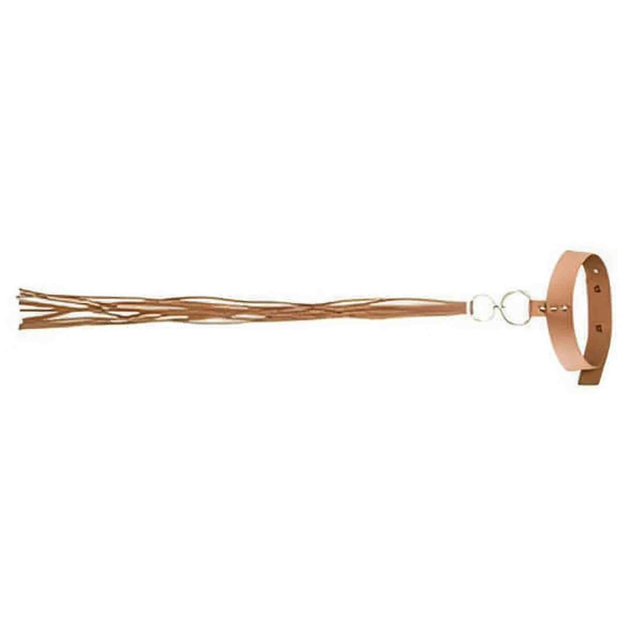 Maze Set Elegante di collare e guinzaglio a frange