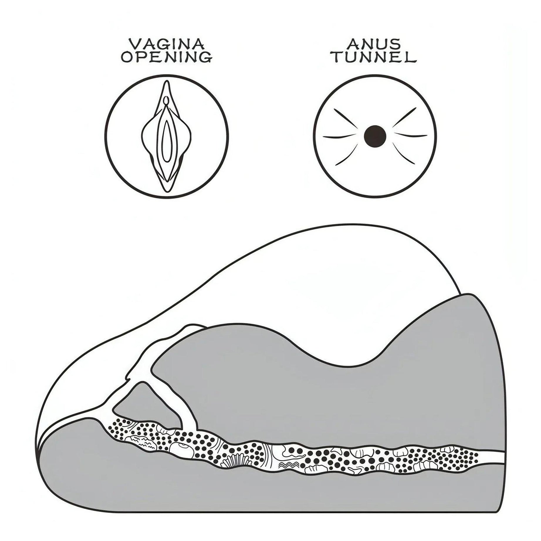 Streetgirl's No. 2 – Masturbatore Ano e Vagina Realistico - Rosa