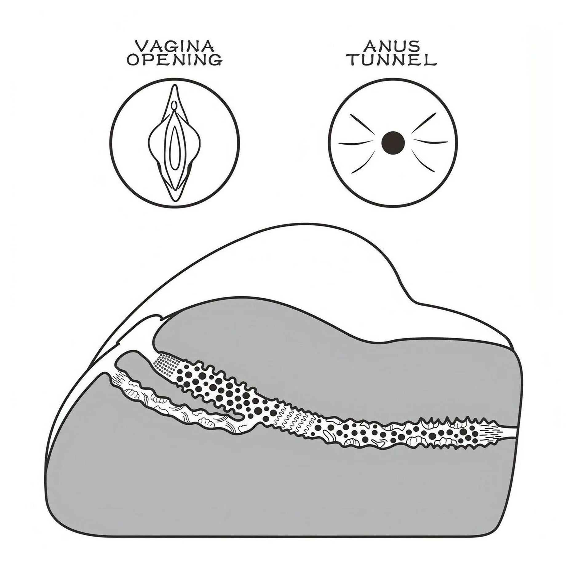 Streetgirl's No. 3 – Masturbatore Super Realistico e Morbido con Canali Anale e Vaginale Extra Stimolante – Nero