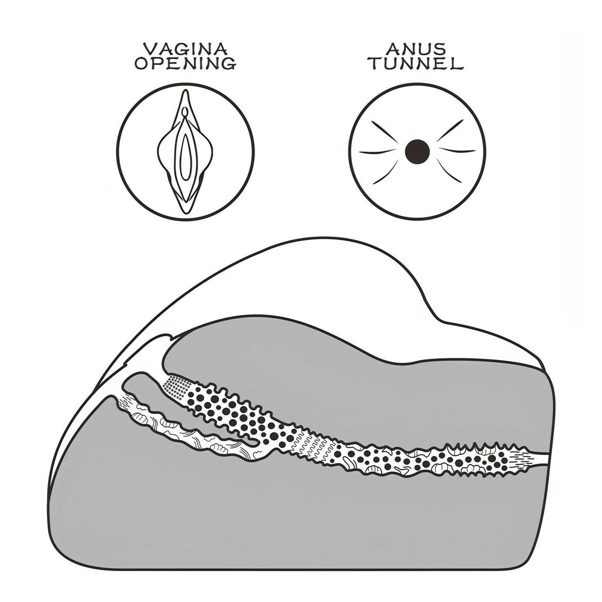 Streetgirl's No. 3 – Masturbatore Super Realistico e Morbido con Canali Anale e Vaginale Extra Stimolante – Nero