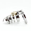 The Classic Stainless Steel Cock Cage