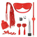 This is Pleasure Kit - Multispeed Vibrator, Burlesque Nipple Covers, Perforated Ball-Gag, Whip, Blindfold, Set of 2 Dice and Petals