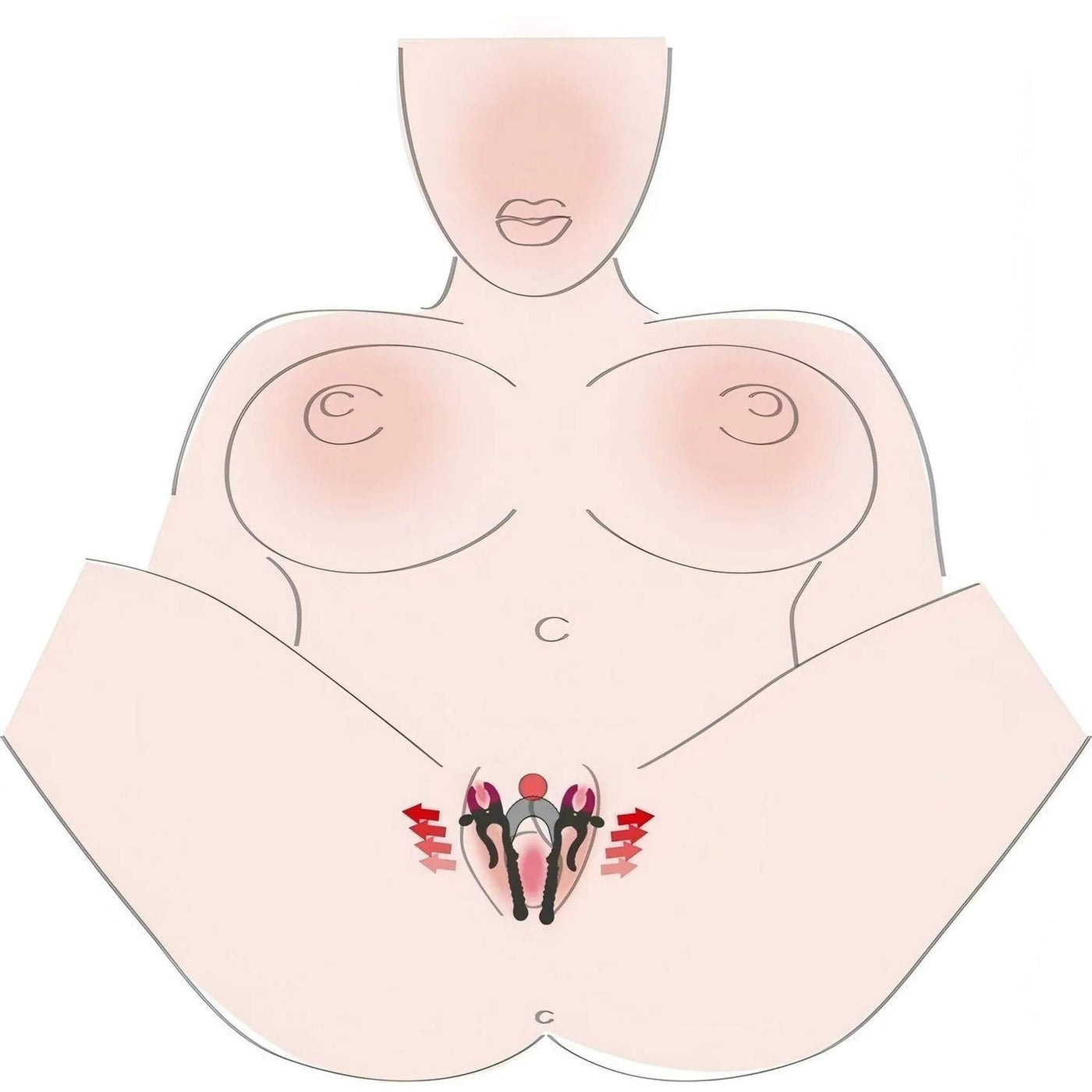 Vagina Spreader