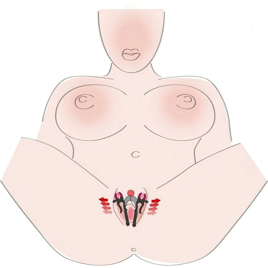 Vagina Spreader