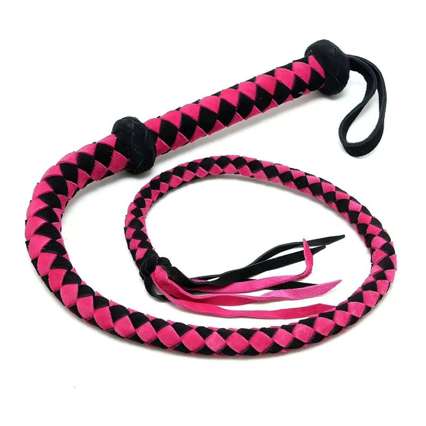 Arabian Bullwhip - Pink Rimba